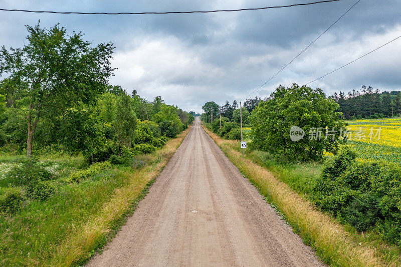 鸟瞰油菜籽田和乡村道路，Bradford West Gwillimbury，加拿大